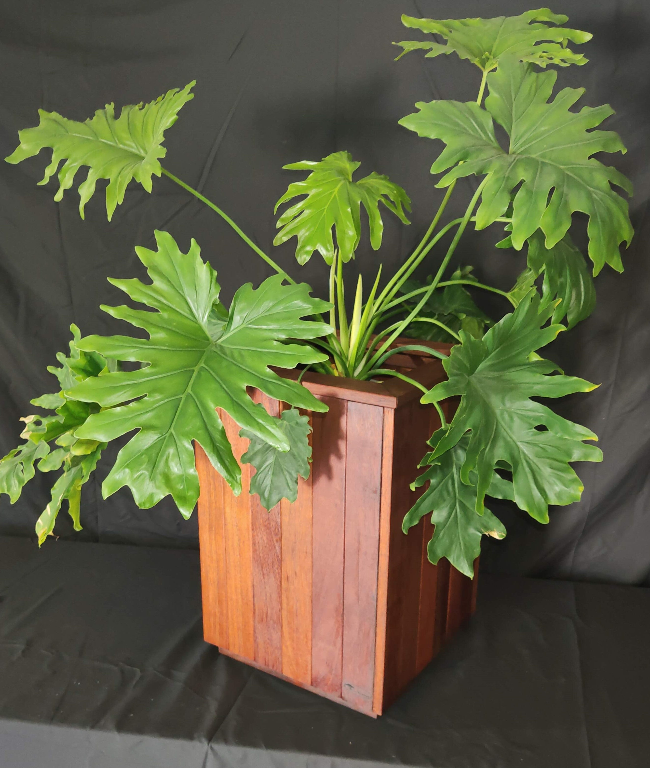 Kwila Planter Box | 300 x 300 x 450mm