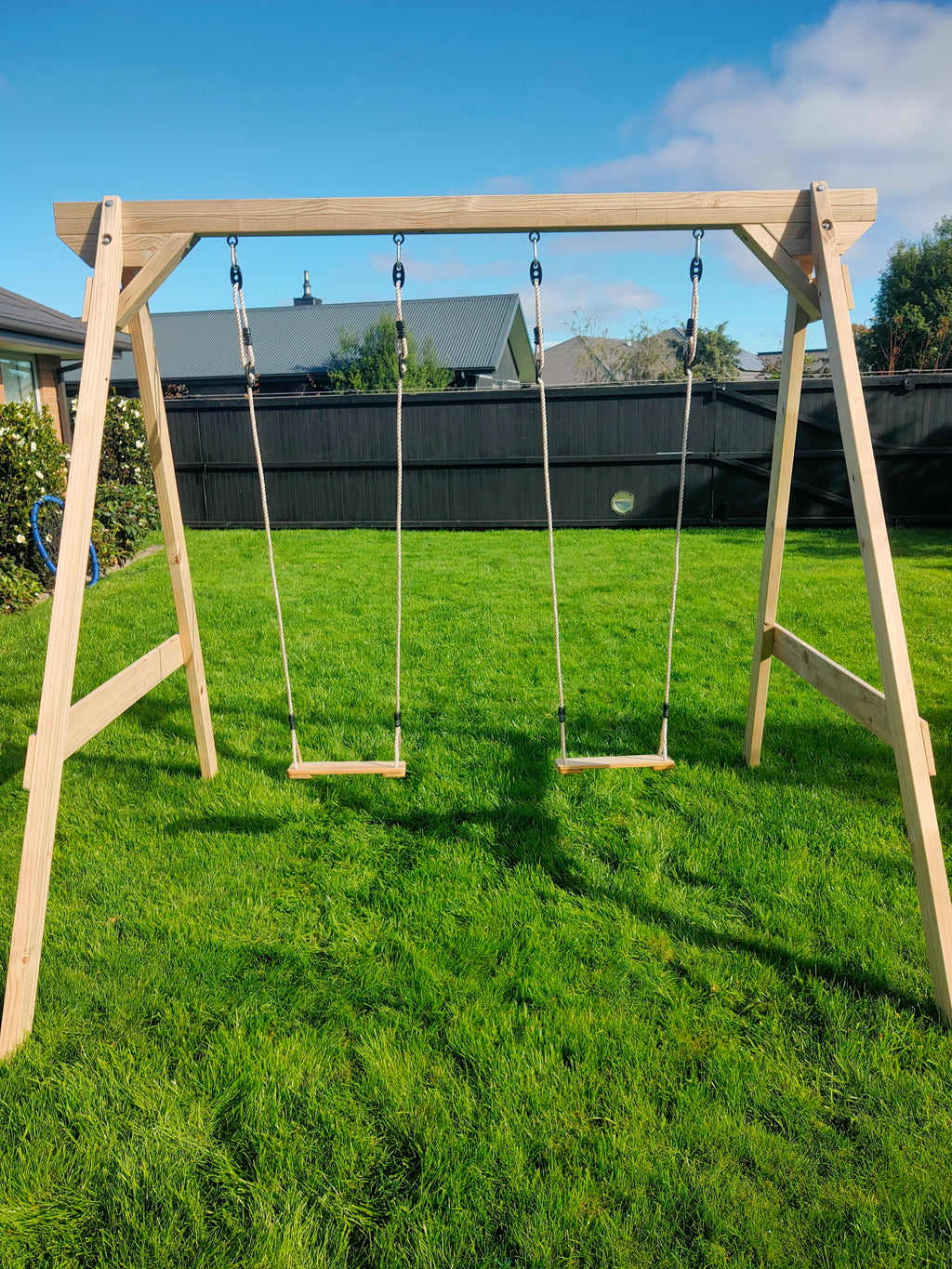 Double Swing Set (#1)